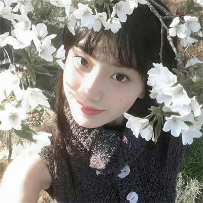 枪灵计划